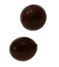 Lapisan cokelat premium Choco Pie